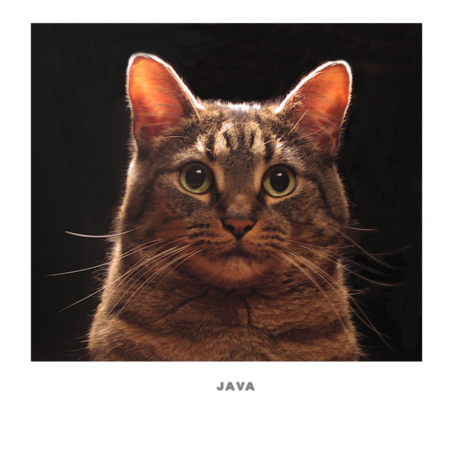 IMAGE: http://mainbyte.com/canon/java.jpg