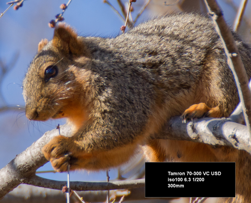 IMAGE: http://mainbyte.com/photos/sq/sq1.jpg