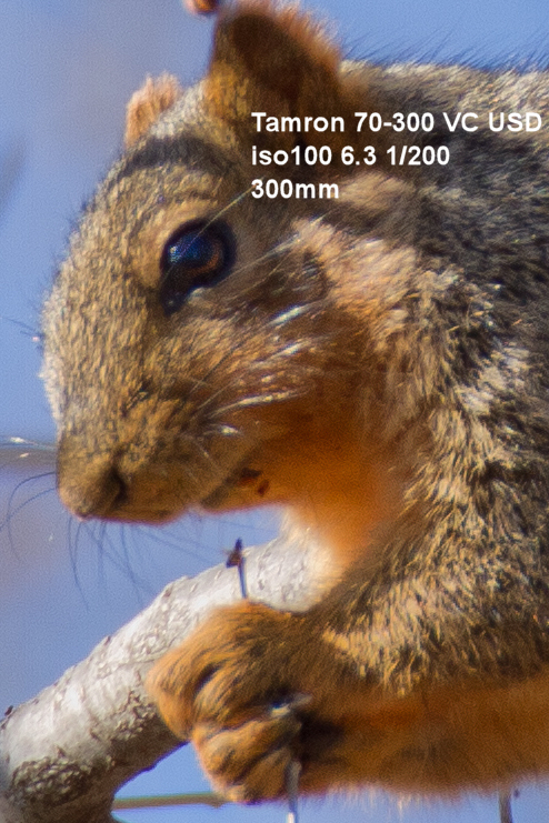 IMAGE: http://mainbyte.com/photos/sq/sq2.jpg