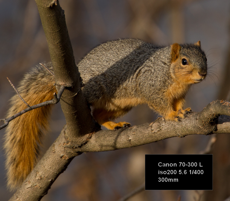 IMAGE: http://mainbyte.com/photos/sq/sq3.jpg