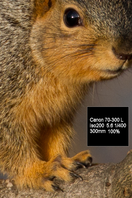 IMAGE: http://mainbyte.com/photos/sq/sq4.jpg