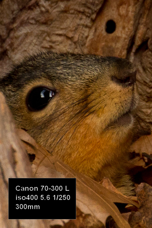 IMAGE: http://mainbyte.com/photos/sq/sq5.jpg